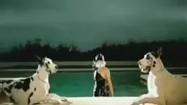 Mi piace nel mamma i ...
