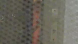 Un diluvio tette spi ...
